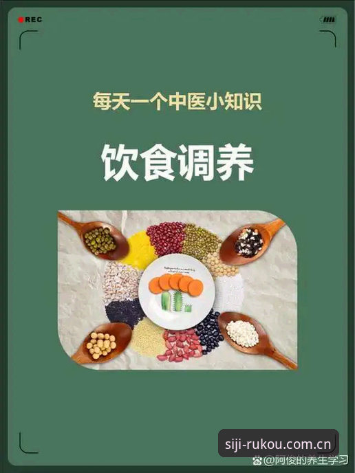 四季官网平台最新入口找不到？一份完整的排查与登录指南